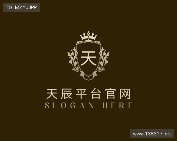 剖析天辰平台官网